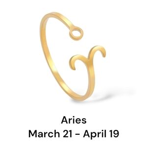 ARIES Zodiac Constellation Stainless Steel Open Front Adjustable Ring
